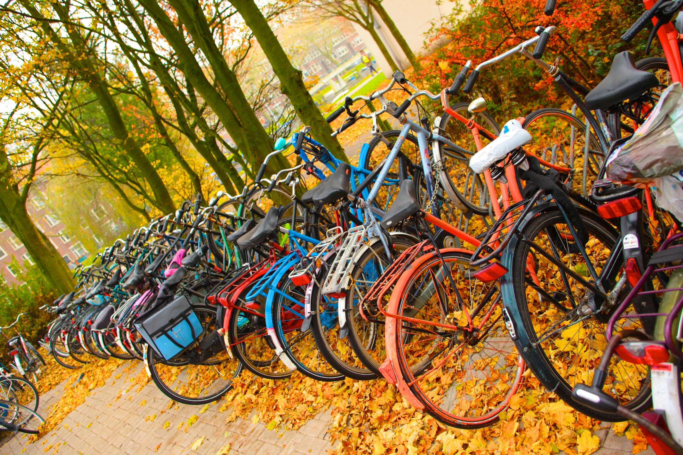 Bicycles in a row on natural background