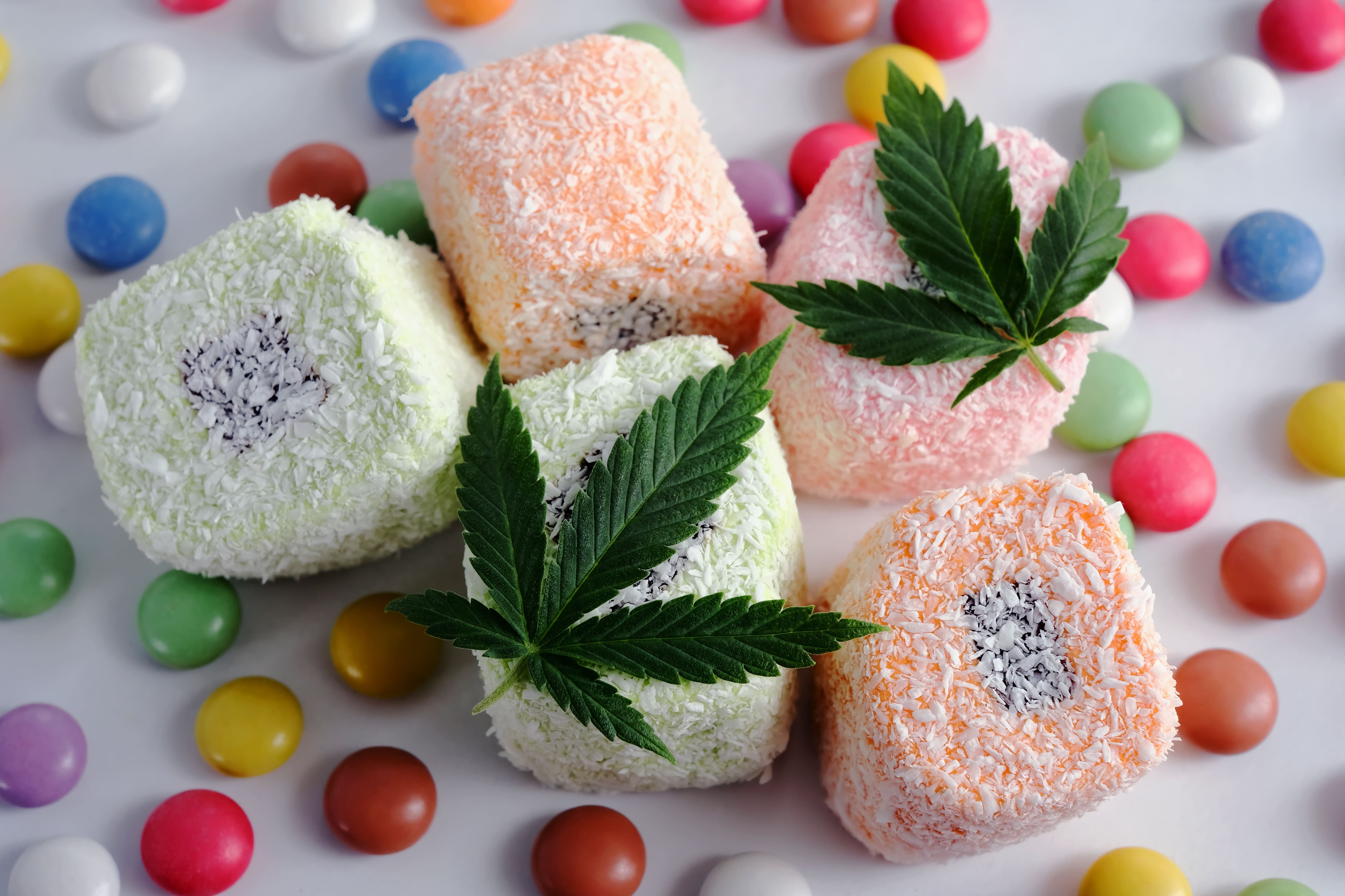 Do Edible Gummies Expire? We Have the Answer! Blog Articles Stay