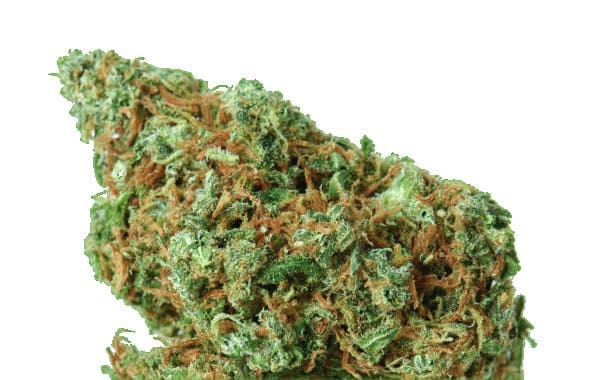 Layer cake strain | BEST BUDS STORE